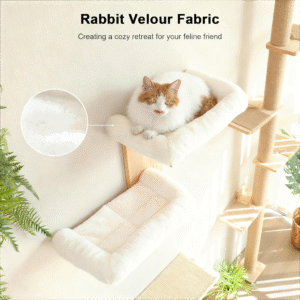 cat-climb-jump-shelf